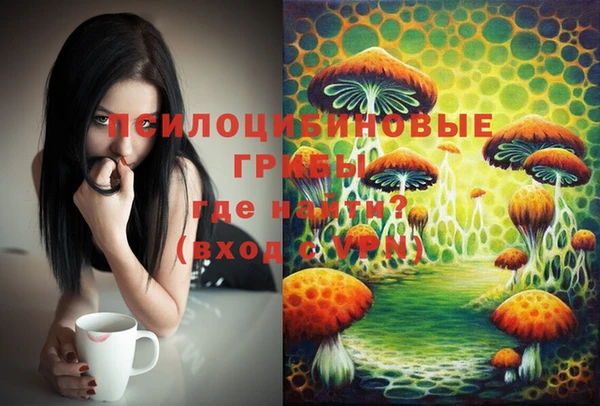 винт Медногорск