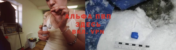 стаф Медвежьегорск