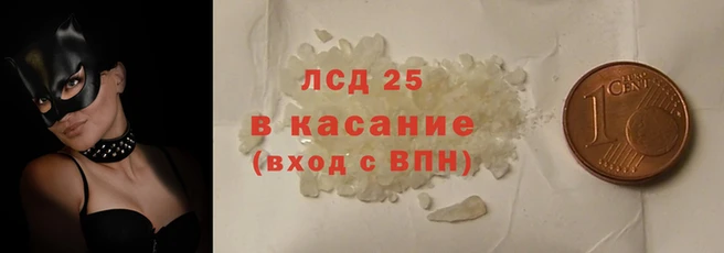 ПСИЛОЦИБИНОВЫЕ ГРИБЫ Майский